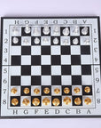 Magnetic Checkers & Chess Set