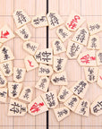 Japan Shogi Magnetic Chess Set ♟️