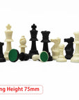 Medieval Plastic Chess Set